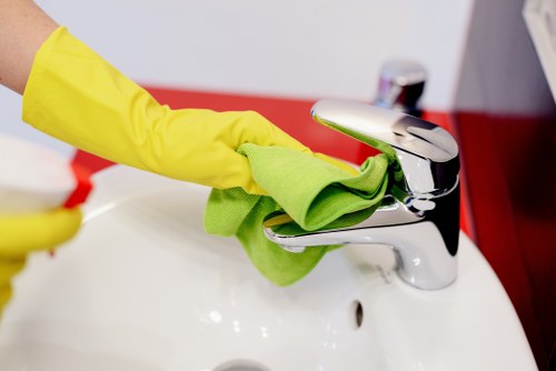 Upholstery cleaning for stubborn pet stains and odours