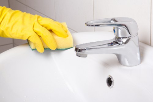 Internal review of a carpet cleaning complaint with service notes