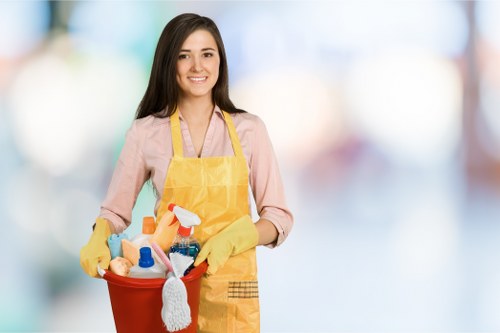 Inclusive website access for Lamorbey Carpet Cleaners visitors