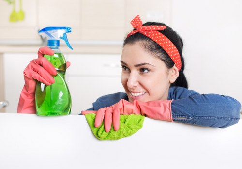 Carpet extraction process removing pet smells in Lamorbey
