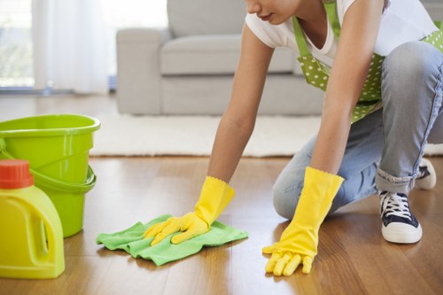 Cleaner checking equipment and work area for safe carpet cleaning