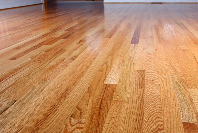 carpet cleaning deep cleaning